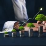 How Business Coaching by Aureus Financial Can Support Sustainable Growth