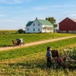 Amish Lifestyle